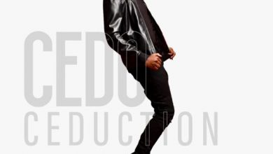 Photo of AUDIO: Cedo Ft Tommy Flavour – Touch | Mp3 Music Download