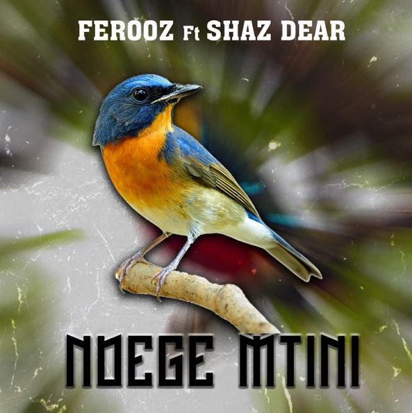 Ferooz Ft Shaz Dear – Ndege Mtini