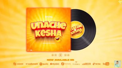 Photo of AUDIO: Sir Jay Tz – Unachekesha | Mp3 Music Download