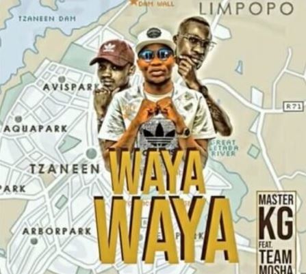Master KG Ft Team Mosha – Wayawaya
