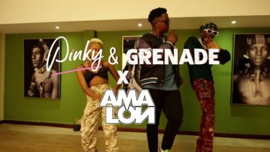 Photo of AUDIO: Pinky Ft Grenade & Amalon – Picha (Remix) | Mp3 Download