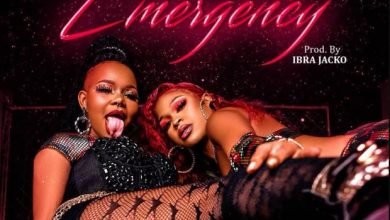 Photo of AUDIO: Rosa Ree Ft Gigy Money – Emergency | Mp3 Download